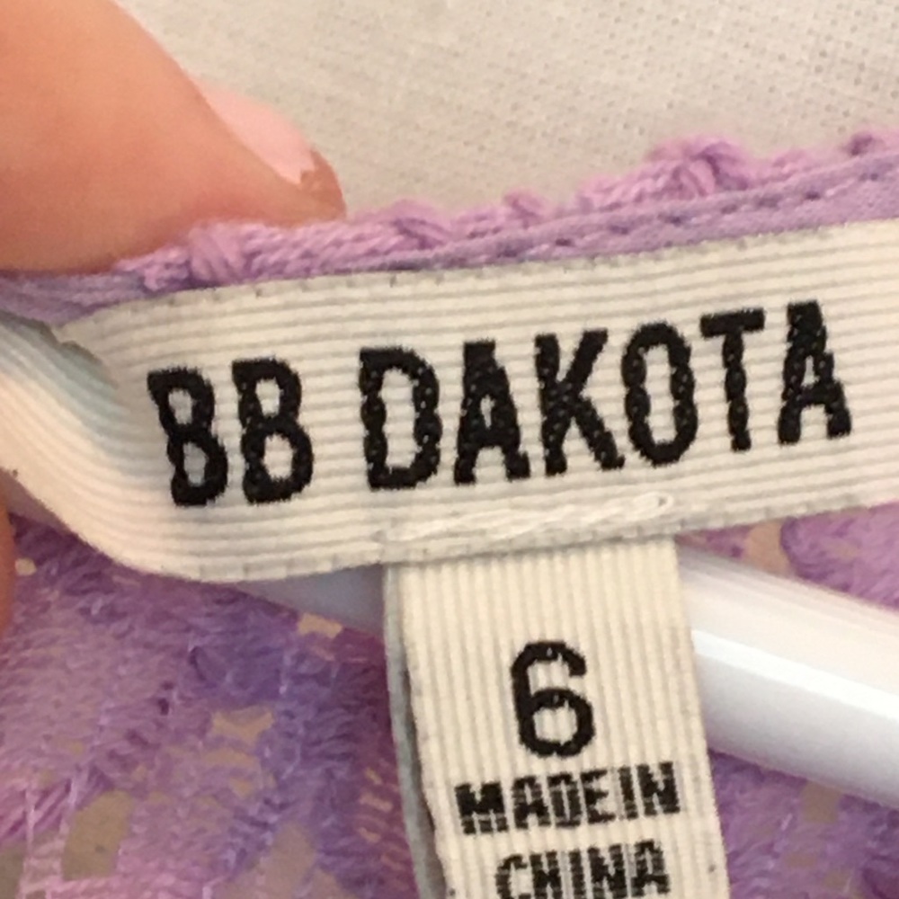 BB Dakota lavender lace skater dress . Worn twice - Picture 6 of 6